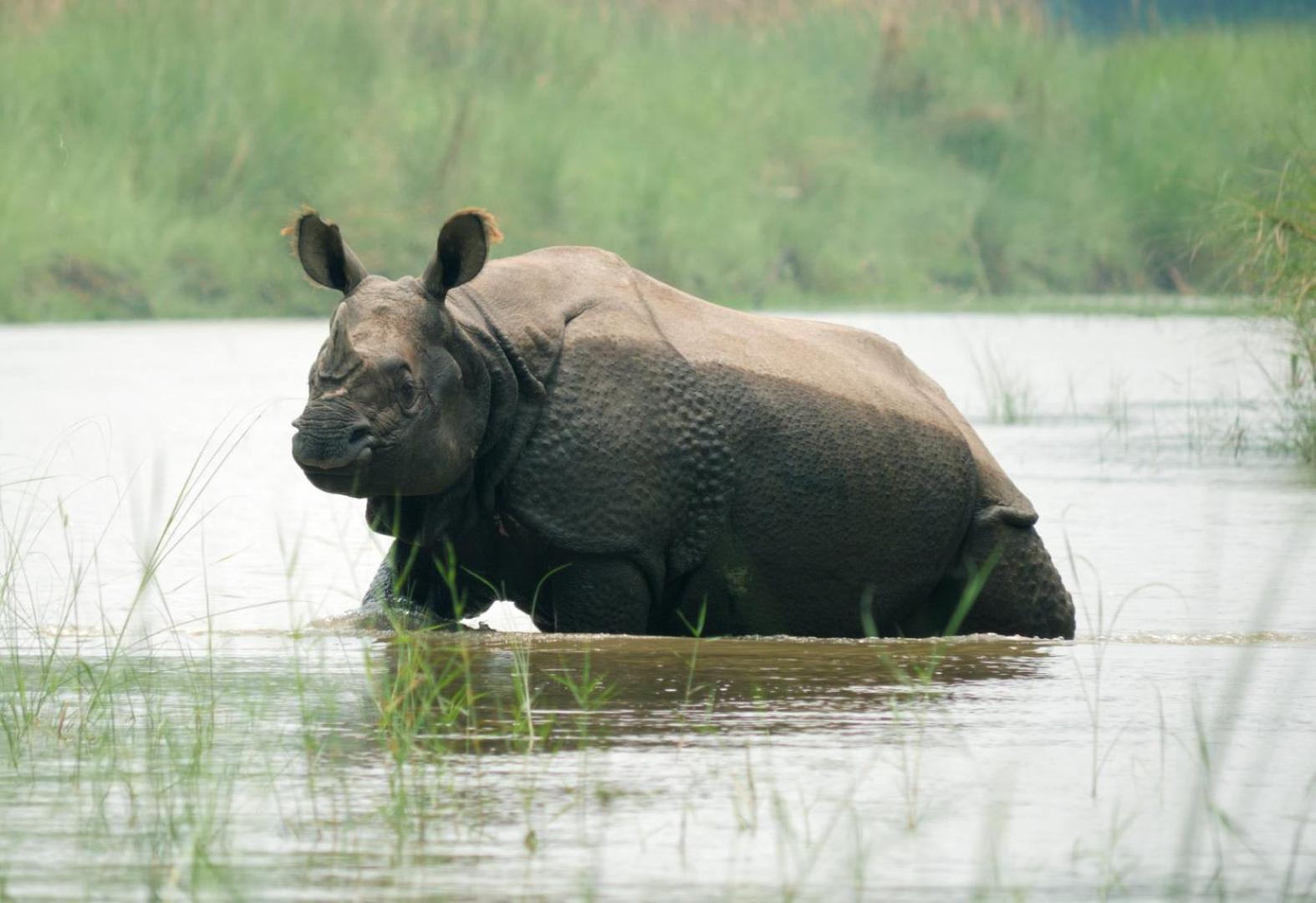 Family House - Bardia National Park Hotel Bardiya Bagian luar foto